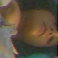 Angel Cakie Nagie
