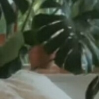 estelleonline Nagie