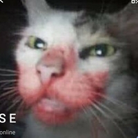 kittylunna Nagie